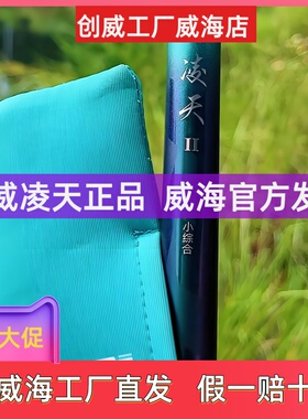 创威凌天2代大综合钓鱼竿大物5鲢鳙6H鲫鱼4鲤鱼草碳素28偏19调杆