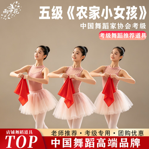 舞协考级五级农家小女孩手绢花