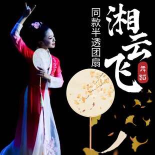 湘云飞舞蹈扇子古典舞表演半透长柄流苏圆扇古风跳舞演出专用道具