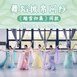 舞蹈专用披帛踏雪归集网纱成人跳舞台专用一梦惊鸿敦煌舞汉服配饰