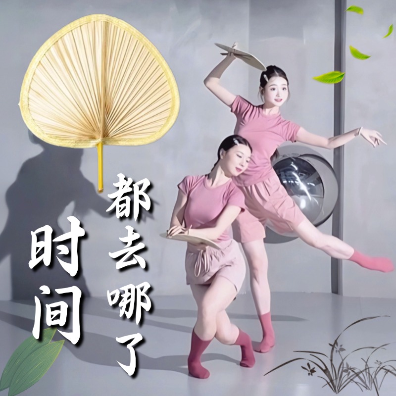 时间都去哪了蒲扇舞蹈道具手持