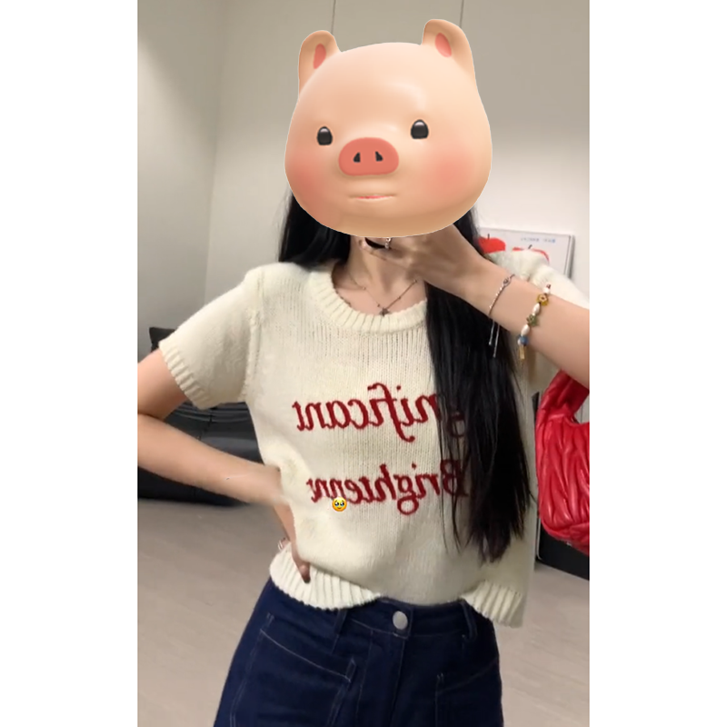 小个子圆领套头字母刺绣冰丝针织衫女夏季独特超好看短袖T恤上衣