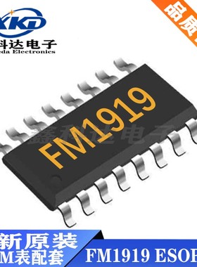 全新 FM1919 直流电机驱动IC 双通道内置功率MOS 全桥驱动 ESOP-8