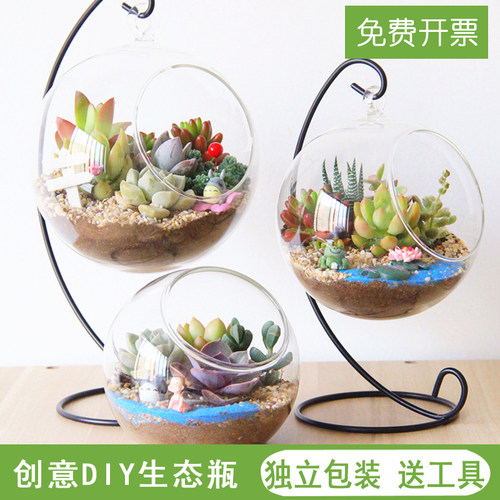 diy微景观套装礼物多肉组合盆栽