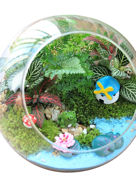 苔藓微景观diy材料创意桌面盆栽