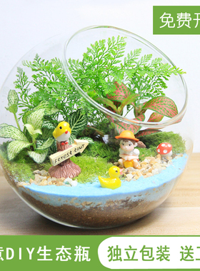 苔藓微景观生态瓶趣味植物创意办公室DIY材料包迷你玻璃桌面盆栽