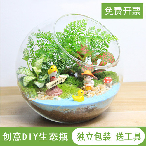苔藓微景观diy材料创意桌面盆栽