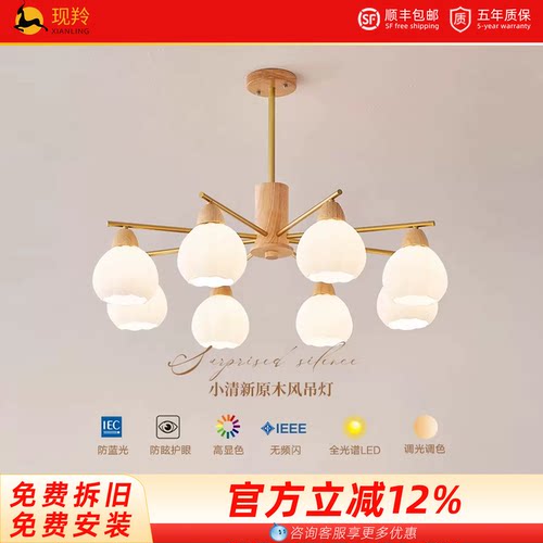现羚客厅北欧吊灯全光谱