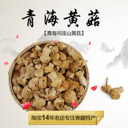 雪域诚信青藏特产青海祁连草原野生优质黄蘑菇钉子菇干货100g包邮