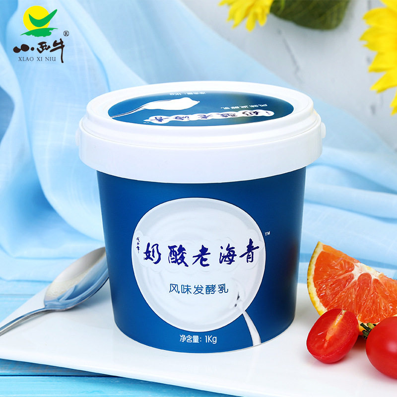 青藏特产小西牛青海大桶装老酸奶1kg实惠装高原原味网红低温酸奶