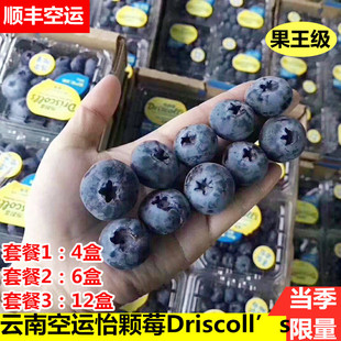 云南怡颗莓蓝莓王护眼鲜果Driscoll’s当季 限量版 限量果王发顺丰