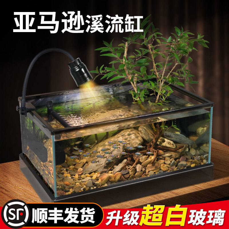 桌面超白玻璃南美风溪流造景客厅小型鱼龟共养生态新款鱼缸乌龟缸