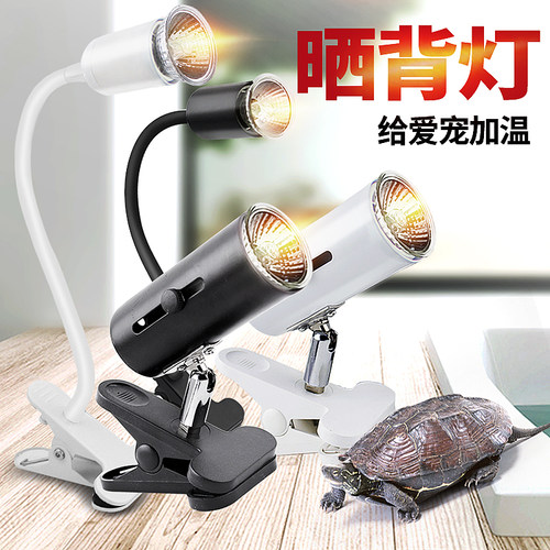 三合一取暖uvb加温乌龟晒背灯