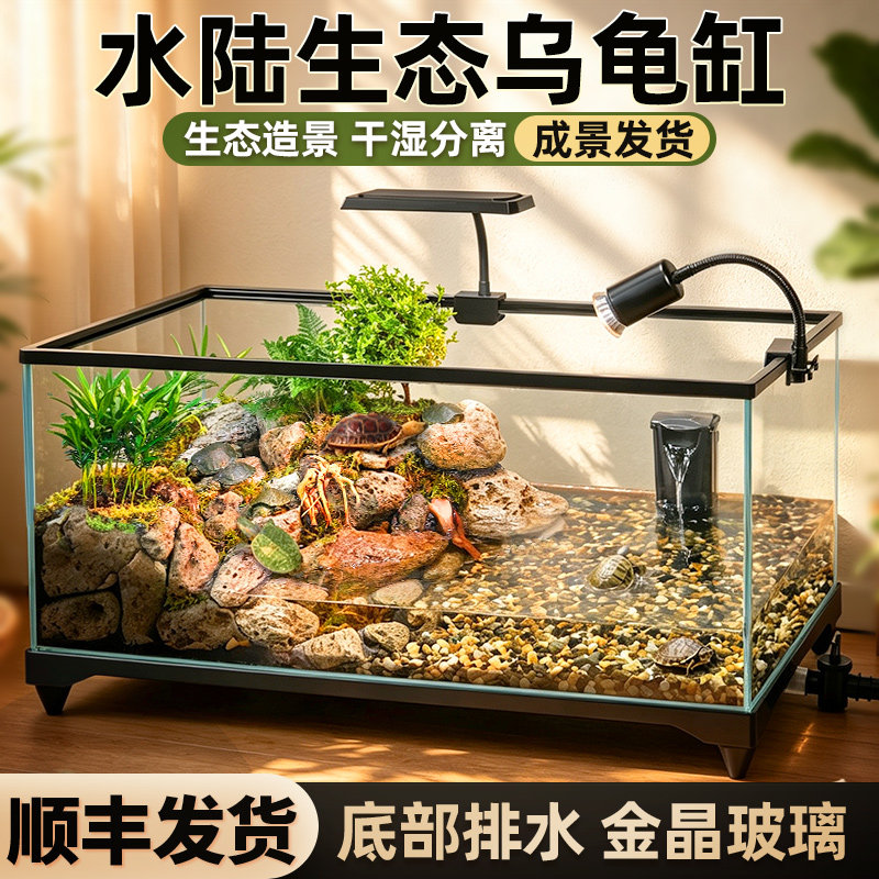 金晶玻璃乌龟缸生态造景成景套餐图片