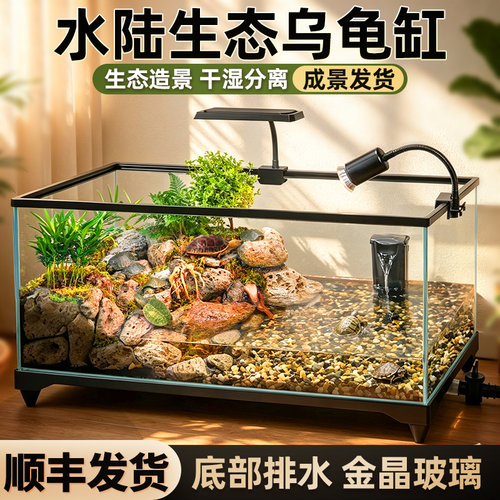 金晶玻璃乌龟缸生态造景成景套餐