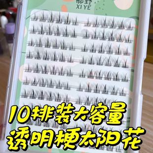 10排大容量透明梗太阳花懒人三部曲假睫毛单簇自嫁接小恶魔自然款