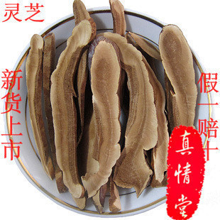 中药材长白山灵芝 灵芝片 灵芝切片 紫灵芝 新货 泡酒