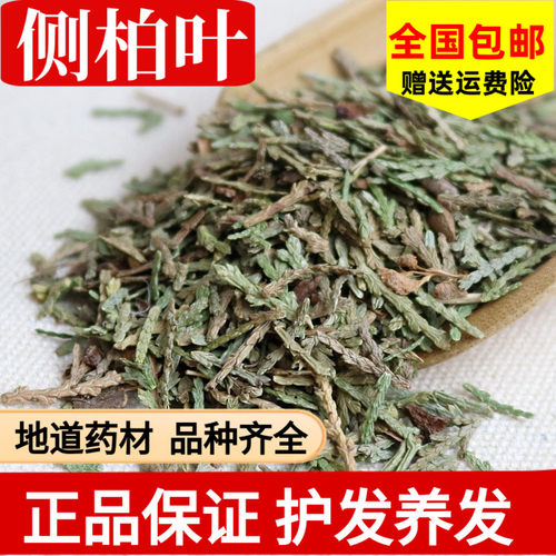 500g侧柏叶包邮干生发桑叶何首乌