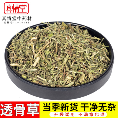 野生透骨草新鲜中药材2斤包邮