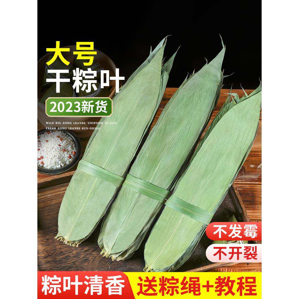 粽叶干粽子叶新鲜棕叶大号天然野生包粽子的竹叶真空免邮商用