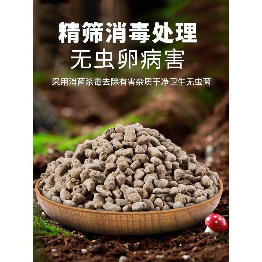 轻石颗粒造景浮石钵底石兰石兰花土多肉兰花铺面垫底石水族滤材