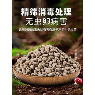 轻石颗粒造景浮石钵底石兰石兰花土多肉兰花铺面垫底石水族滤材