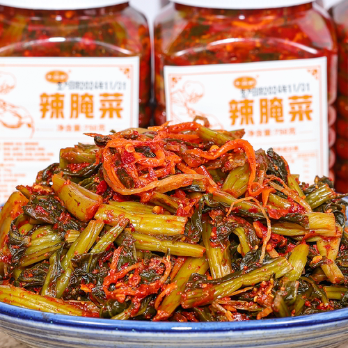 爆炸腌菜下饭酸脆爽口