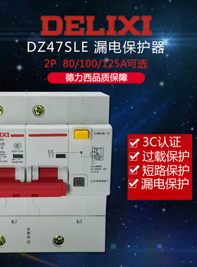 德力西家用漏电断路保护器DZ47LE 2P 100A 80A 125A 两相220V漏保