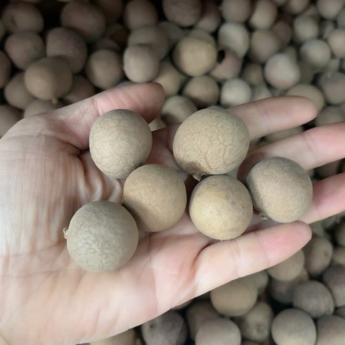 桂圆干2025当季新货干桂圆干肉厚