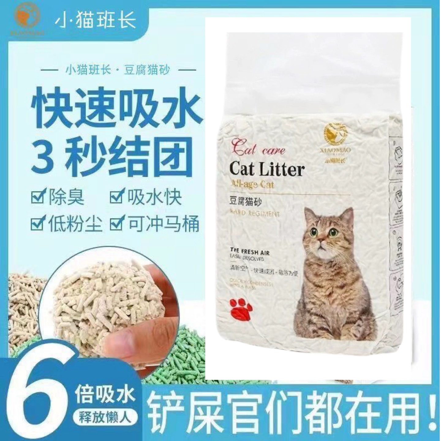除臭混合豆腐猫砂小猫班长猫和友
