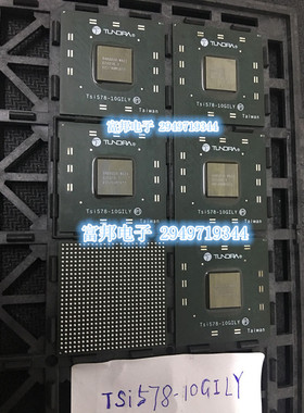 TSI578-10GILY全新