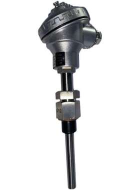 TP R310 0…200°C L=100mm Pt100 温度感测器议价