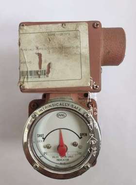 OVAL PI45B10 957.2CC 阀门指示器 未使用库存件