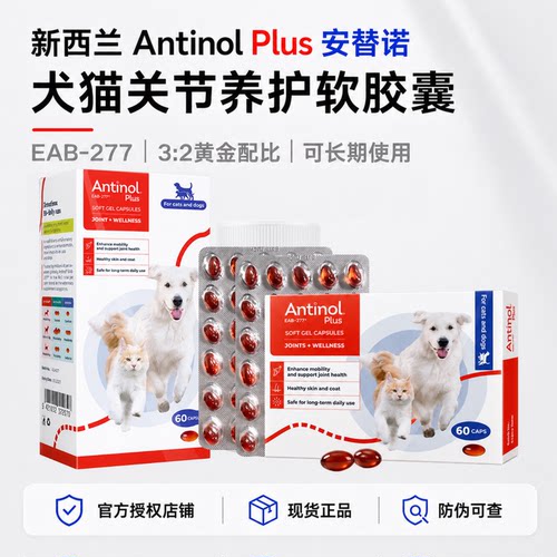 Antinol新西兰进口绿贻贝软骨素