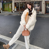 超好看设计感彩色线条羽绒棉服女2024冬季新款高级感洋气棉衣棉袄，女装棉衣/棉服，浙宝173