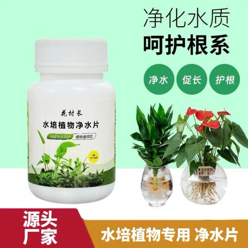 水培植物净水片消毒片鲜花保鲜富贵竹营养液花店净化水质延长花期