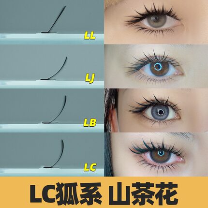 MTP狐系漫画L型LC山茶花不散根中式广角嫁接睫毛美睫店专用兔系