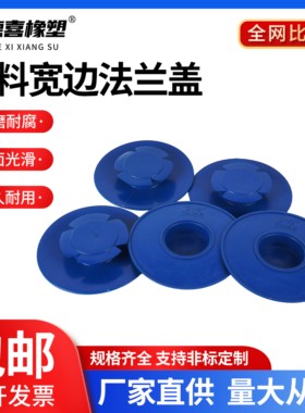 PE塑料法兰盖通用内塞式宽边法兰保护盖阀门封盖美标端面保护盖帽