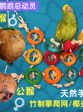 鹦鹉玩具攀爬网互动啃咬解闷自嗨发泄觅食java中大型栖木玄凤牡丹