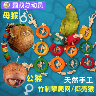 鹦鹉玩具攀爬网互动啃咬解闷自嗨发泄觅食java中大型栖木玄凤牡丹