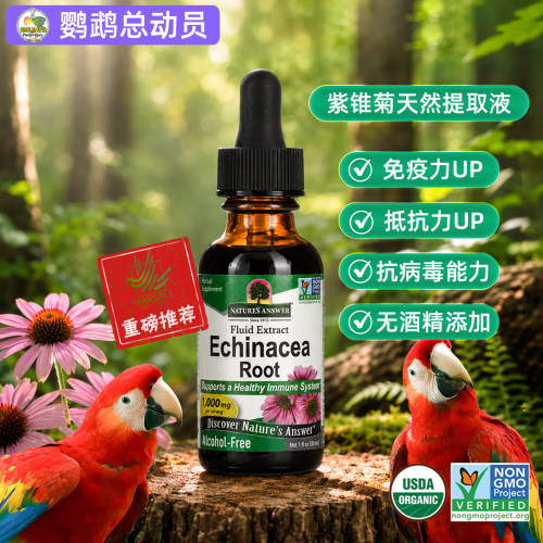 鹦鹉紫锥菊根提取液增强免疫力哈里森推荐美国Nature's Answer
