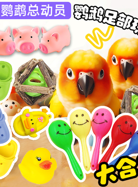 鹦鹉玩具大全沙锤洞洞鞋啃咬解闷自嗨鸟发泄藤球觅食丰容总动员