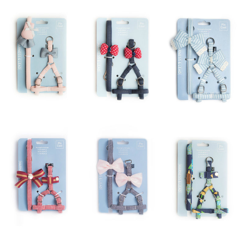 小清新狗狗牵引绳迷你犬泰迪