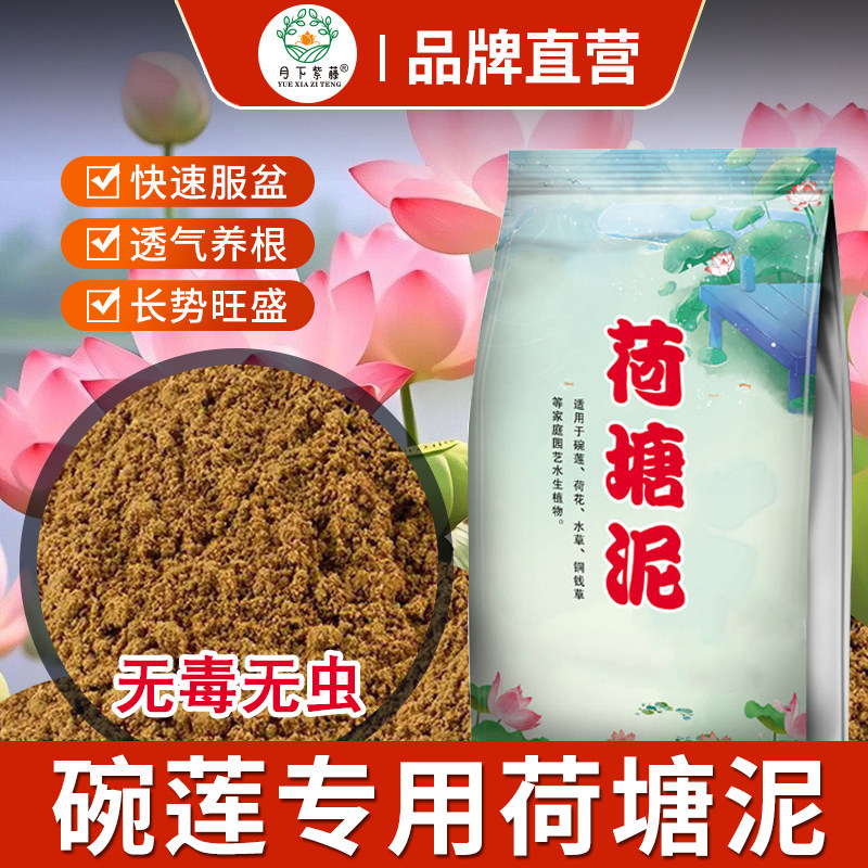 荷塘泥天然营养泥碗睡莲荷花水生植物铜钱淤泥专用水培营养土