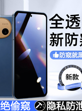 适用夏普AQUOSsense10防窥钢化膜SHARPAQUOSSENSE10防窥膜手机贴膜防爆膜新款SharpAQUOSense10隐私保护