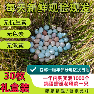 土鸡蛋新鲜正宗农家虫草谷物喂养无抗生鲜鸡蛋江西老表30枚顺丰