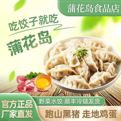 野菜水饺野菜水饺槐花鸡蛋