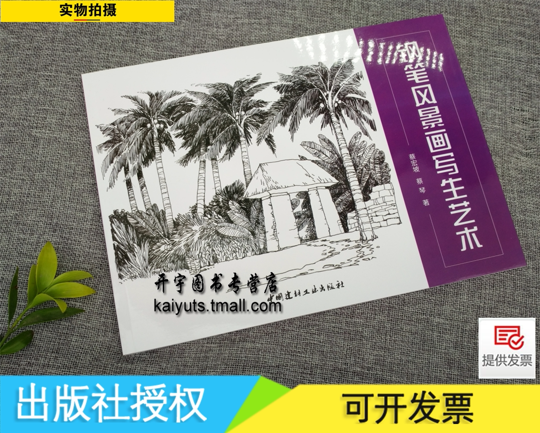 正版 钢笔风景画写生艺术 蔡宏坡 蔡琴 著/钢笔画艺术欣赏书籍 钢笔画基础入门教程 山水风景画 钢笔画册书 古典风古韵风景画书籍