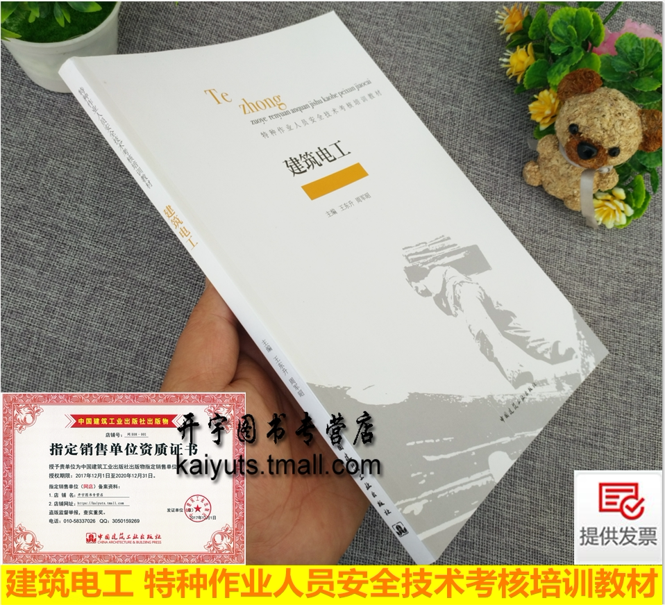 正版 建筑电工 王东升 编 施工现场用电安全低压电器电动机机械施工现场配电照明危险环境雷电防护施工现场用电管理事故隐患与案例