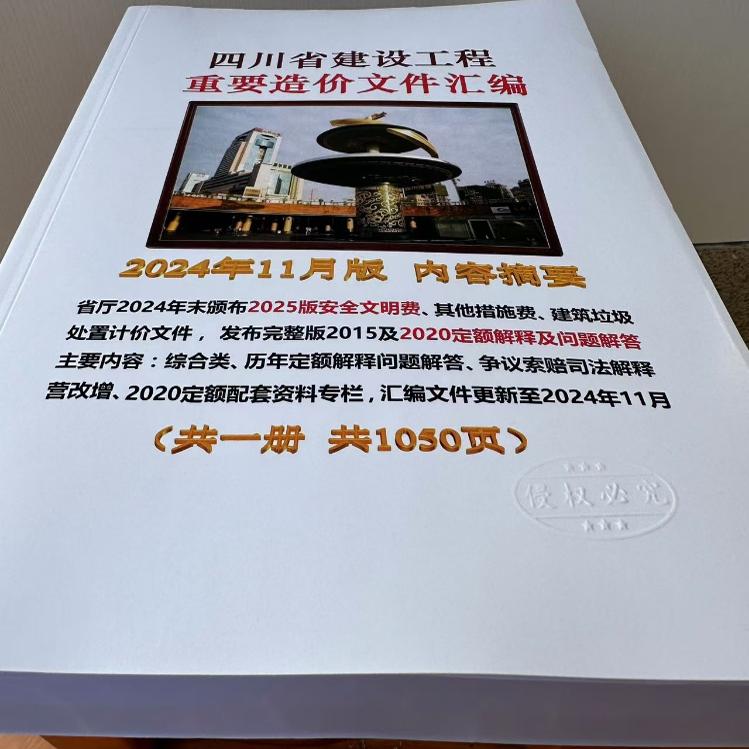 2024年11月份内容摘要提供发票